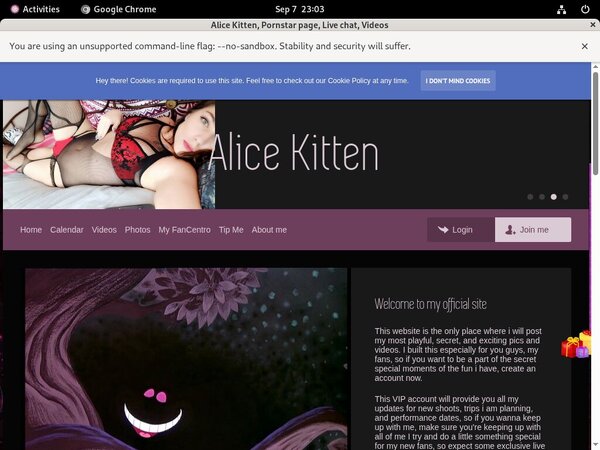 Alice Kitten For Tablet