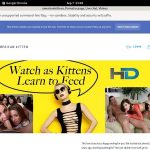 Americankittens New Account
