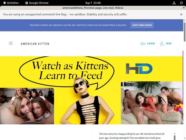 [Image: Americankittens-New-Account.jpg]