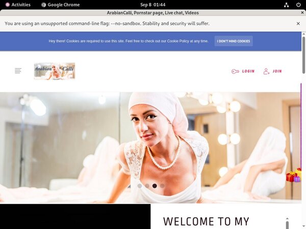 Arabiancalli.modelcentro.com 2018
