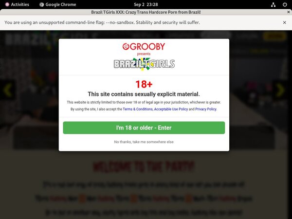 Brazil TGirls XXX Accs