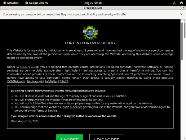 Brazilian Studz Premium Logins