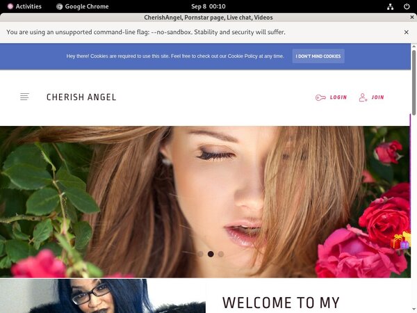 CherishAngel Mobile Pass