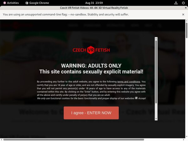 Czechvrfetish With AOL Account