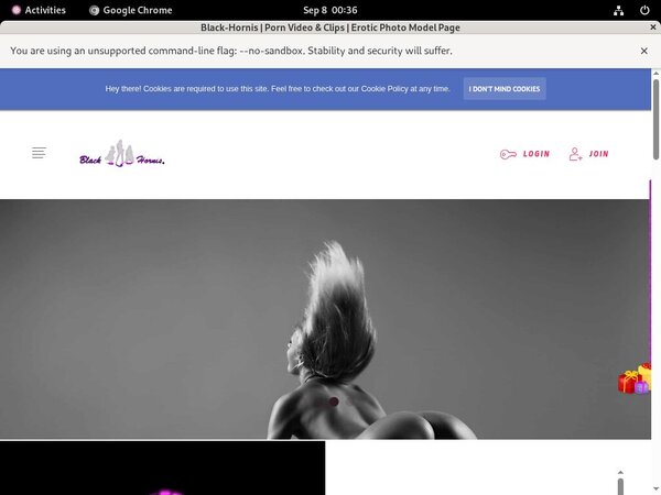 Discount Codes B L A C K - H O R N I S