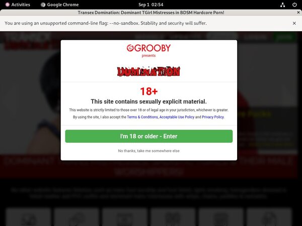 Domination Transex With Paypal