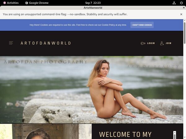 Free Accounts Artofdanworld.com