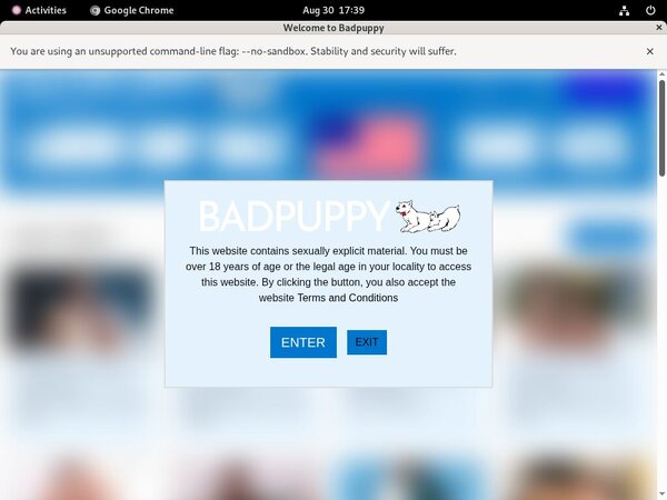 Free Bad Puppy Accounts Premium