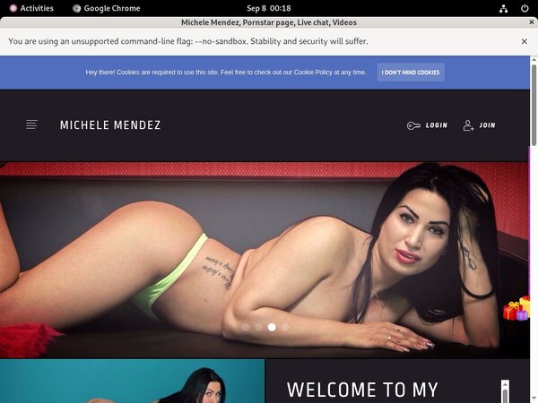 Free Michelemendez.modelcentro.com Accounts And Passwords