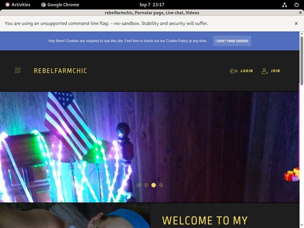 Free Rebelfarmchic.modelcentro.com Pass