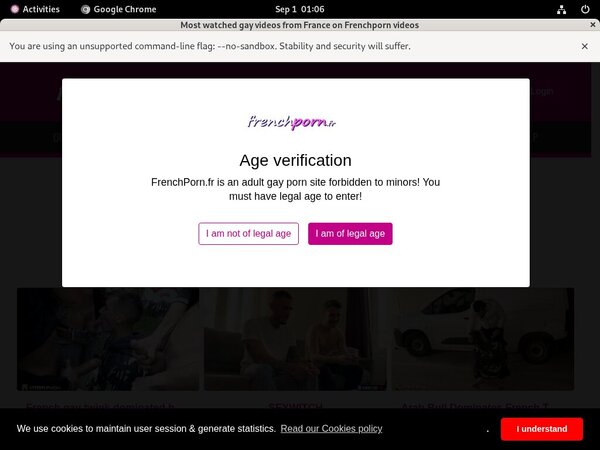 [Image: French-Porn-Gay-Account-Information.jpg]