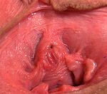 Gapemypussy Passwort