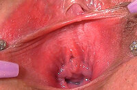 Gapemypussy.com Videos Gratis s2