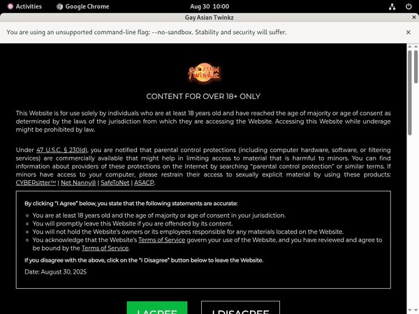 Gayasiantwinkz.com Websites