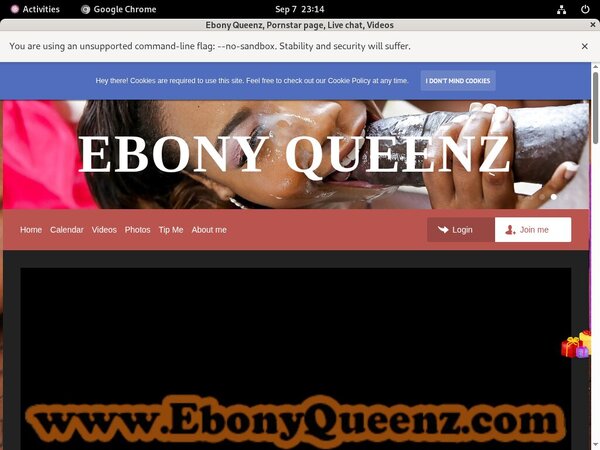 Get Ebony Queenz Free Logins