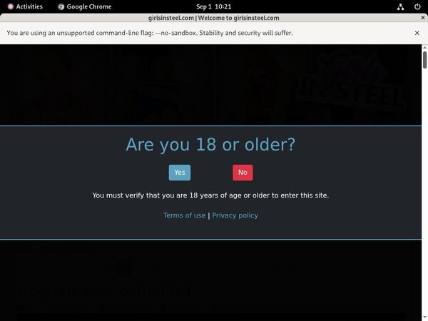 [Image: Girls-In-Steel-Paypal-Options.jpg]