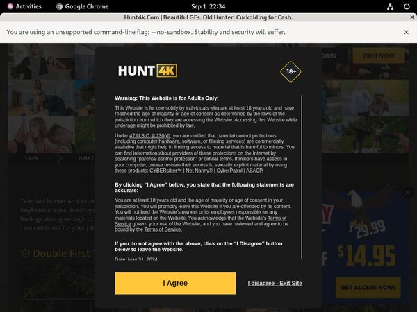 Hunt 4k Gratis