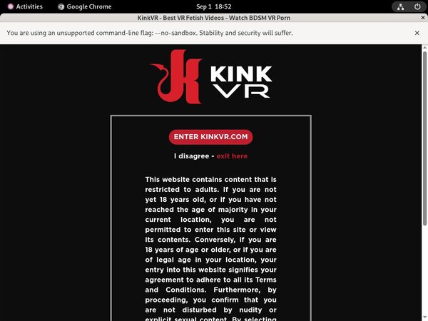 Kinkvr Web Site