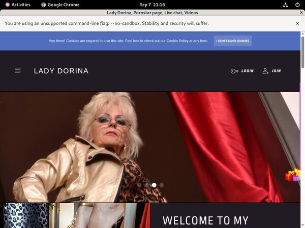 Lady Dorina Bank Payment