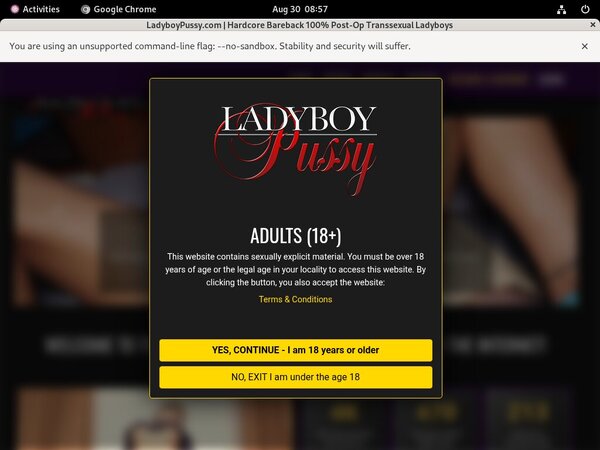 Ladyboy Pussy Buy Credits