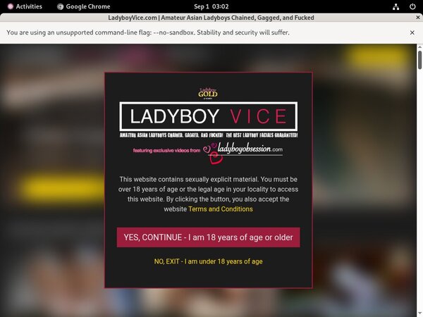 Ladyboy Vice Porn Tube