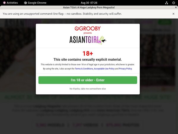Ladyboy-ladyboy.com Worth It?