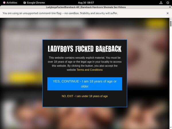 [Image: Ladyboysfuckedbarebackcom-Hq.jpg]