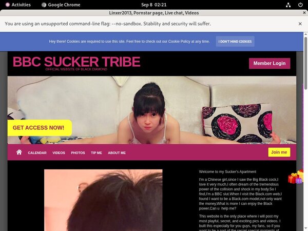 Linxer2013.modelcentro.com Image