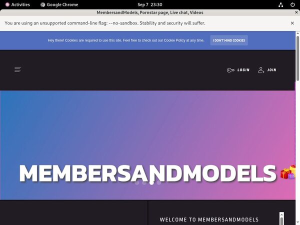 MembersandModels Latex