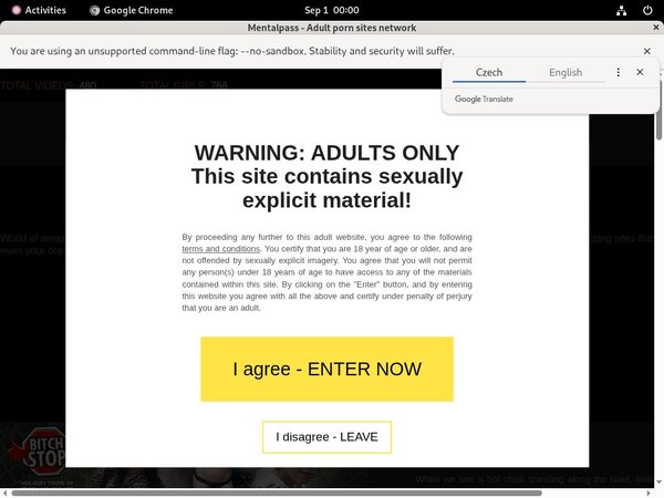 Mentalpass.com Free Preview