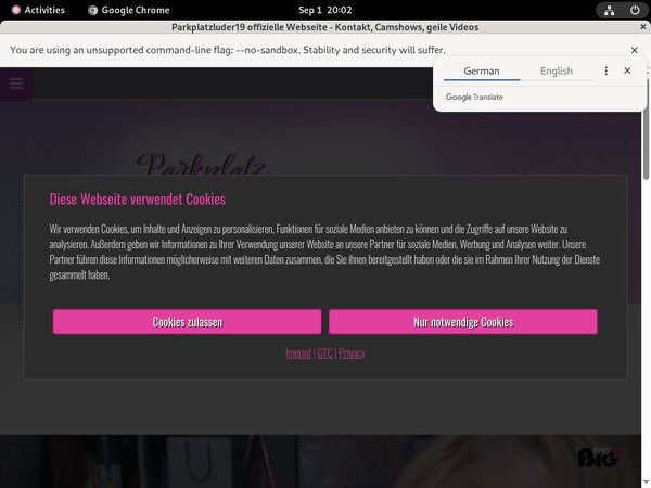 Parkplatzluder19.com Images