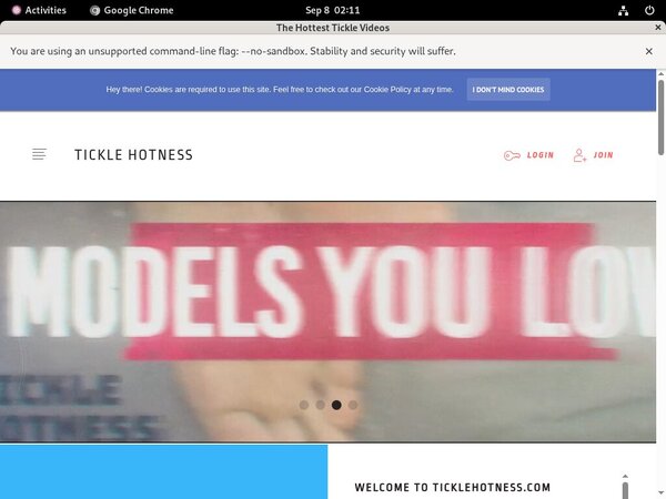 Premium Accounts TickleVideos