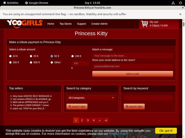 PrincessKitty Updated Passwords