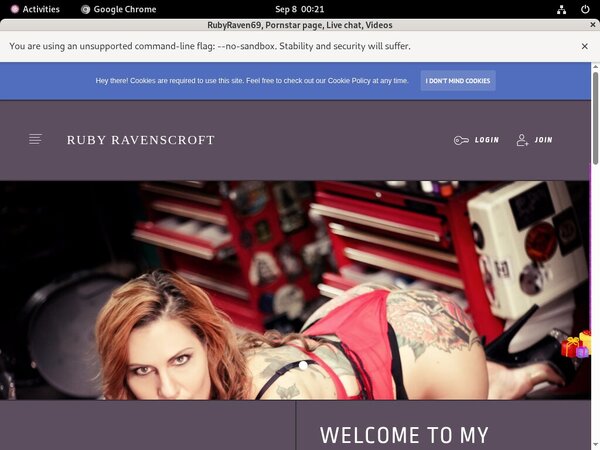 RubyRaven69 Account Passwords
