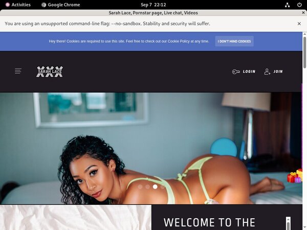 Sarah Lace Co