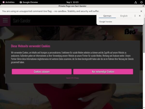 Sari Sander Free Premium
