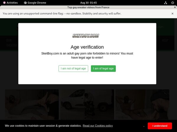 Sketboy.com 2018 Free