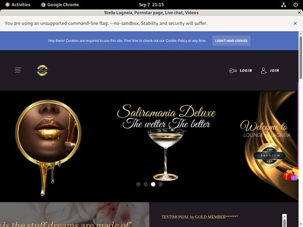 Stella Lagneia Automatische Kassen