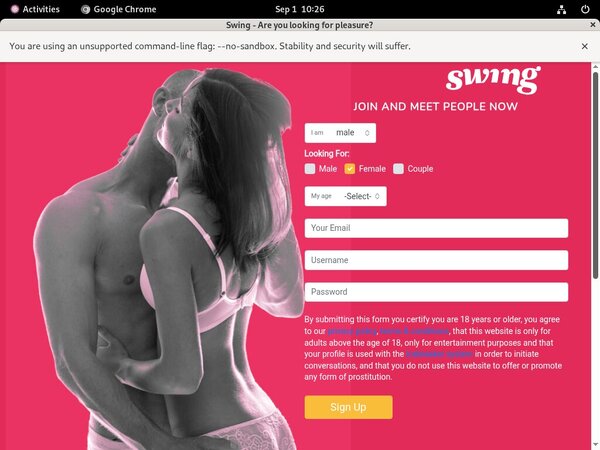 Swing.net Site Rip Link Swing.net Site Rip Link