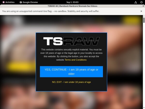 TS Raw Network Login