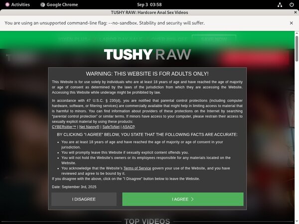 Username And Password For Tushy Raw