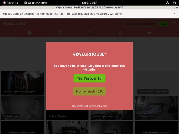 Voyeur House Men
