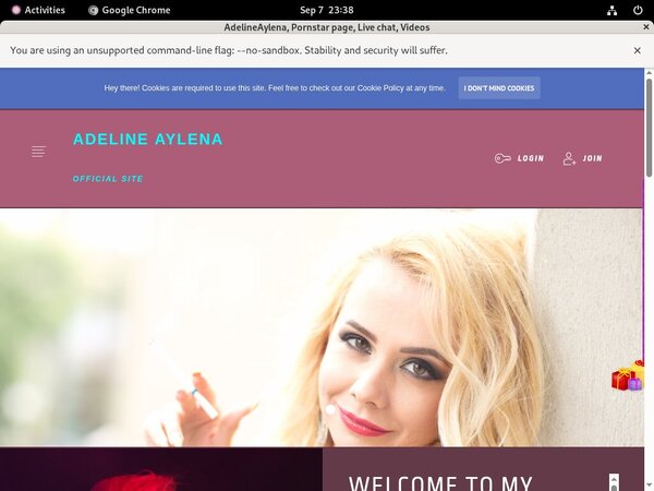 Working Adelineaylena.modelcentro.com Login
