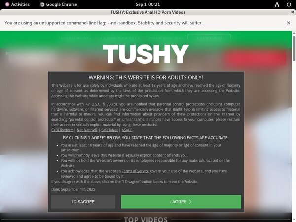 Free Tushy Hd Porn